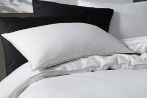 DREAM WHITE